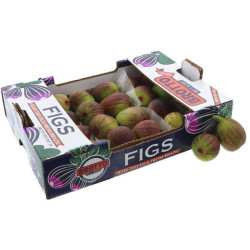 FIGUE FRAICHE VERTE 3KG